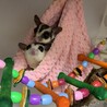 ちくわ君姫ちゃんのママさん