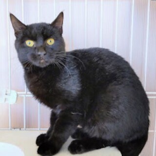 でら！はりま！