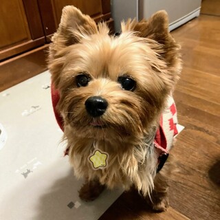 嬉し楽し大好き♡ゴロ〜ンしちゃうよ、あいらちゃん