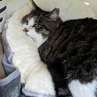 ♀️おっとり癒しのたまちゃん