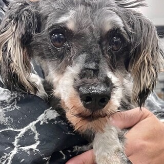 21-W854　小ぶりでシャイなハニー姫♪