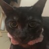 の写真