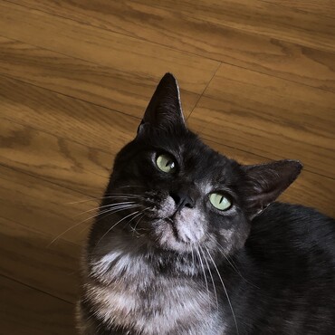 の写真