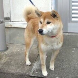 ありがとうございました！