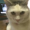 きゃむきゃむ