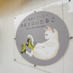 保護猫の譲渡会　in   厚底をはいたねこ サムネイル3