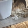 の写真