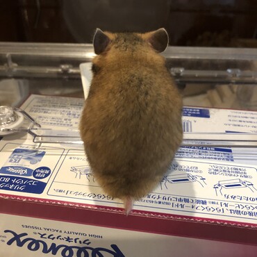 の写真