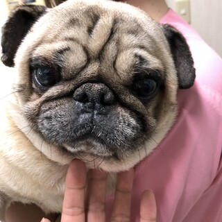 トライアル決定の為、一時停止。凪ちゃん