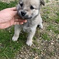 里親さま決まりました☆