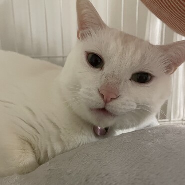 エルの写真