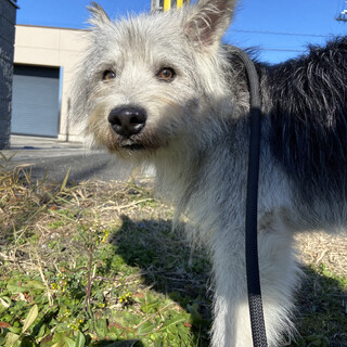 ばんざいでお出迎え♡Grigio