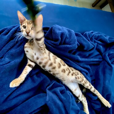 の写真