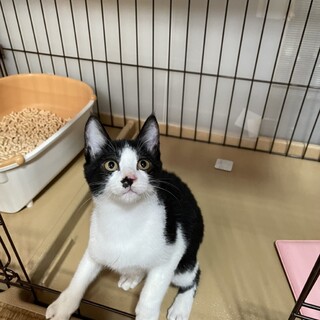 おかげさまで素敵な家族と出会えました♡