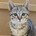 可愛すぎる甘えん坊4カ月女の子