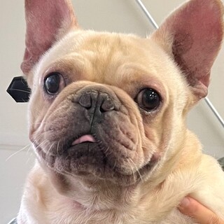 21-M881可愛過ぎるボーイ♪