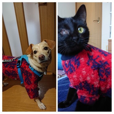 奇跡のお揃い(笑)銀太服インターネット、チャム服ホームセンター。。嘘でしょ(笑)