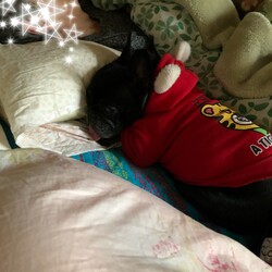 父親を見張り中