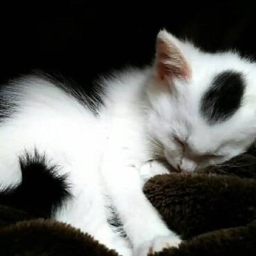 この頃からサラは優しい子だと分かってた。