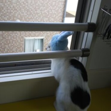 今日もいいお天気だなぁ～✨