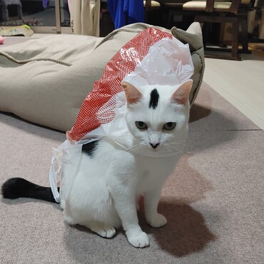 ん……？何か問題でも？