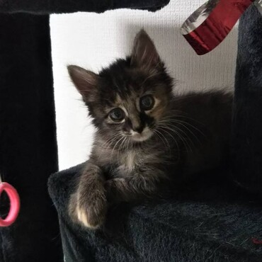 あたち…キレイでしょ？♡