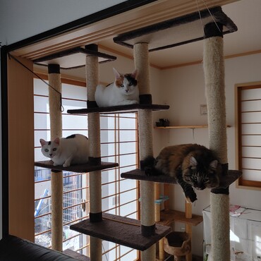 狙うは……２番手❕(ダメです！←ママより)