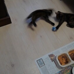 「体力が要る」サムネイル1