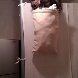 「体力が要る」サムネイル2