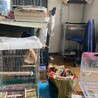 今は大空へ飛び立ったツバメ太郎との写真です。