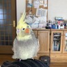の写真