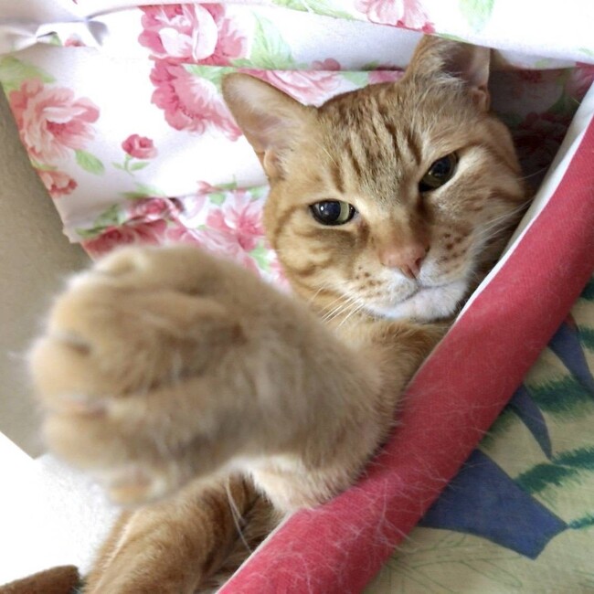 masumi_tのカバー写真