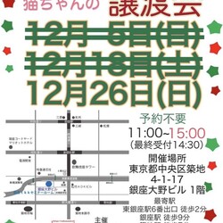 ★猫の未来とびら譲渡会★東銀座徒歩2分東劇隣
