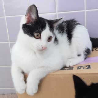 ありがとうございました