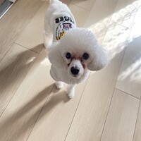 オリーブ