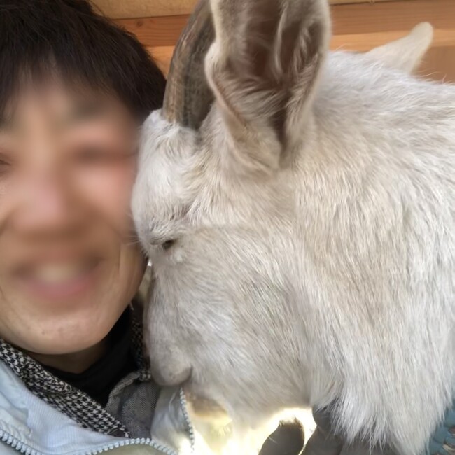 アニマルボランティアTUNAGUのカバー写真