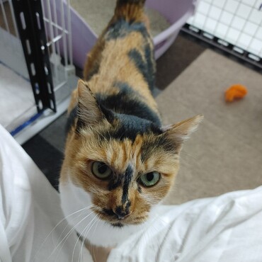 おばちゃん、ありがとう♡もぅ痛くないよ。