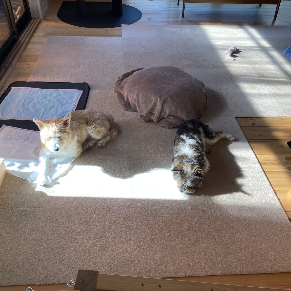 なよ汰のカバー写真