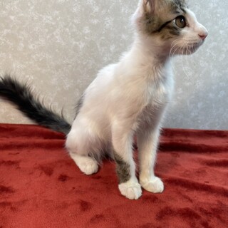 片目のジャック❗️ハンディの分得たものは人の愛情