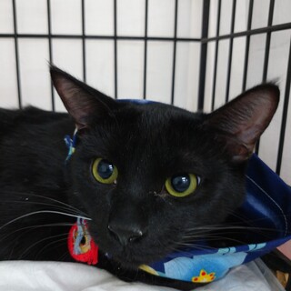 5月1日★堺市里親会参加★スミ君