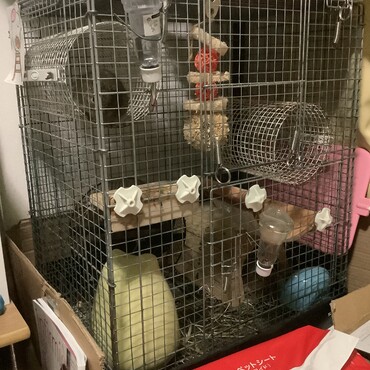 デグーさんの　お家