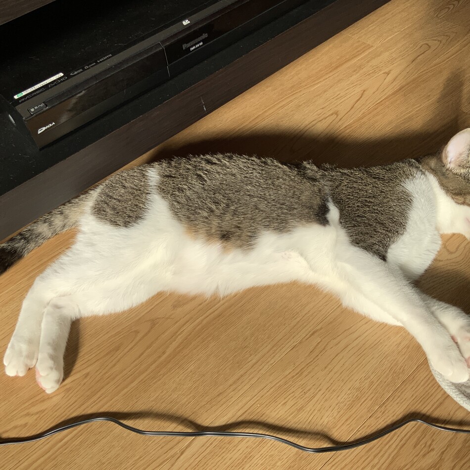 めいのカバー写真