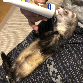 可愛がってくれる方募集してます