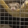 可愛がってくれる方募集してます サムネイル3