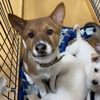 トライアル決定ぼく、ずっと待ってます