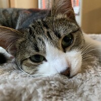 かん