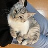 素敵な里親様と出会えました♡すだち サムネイル7