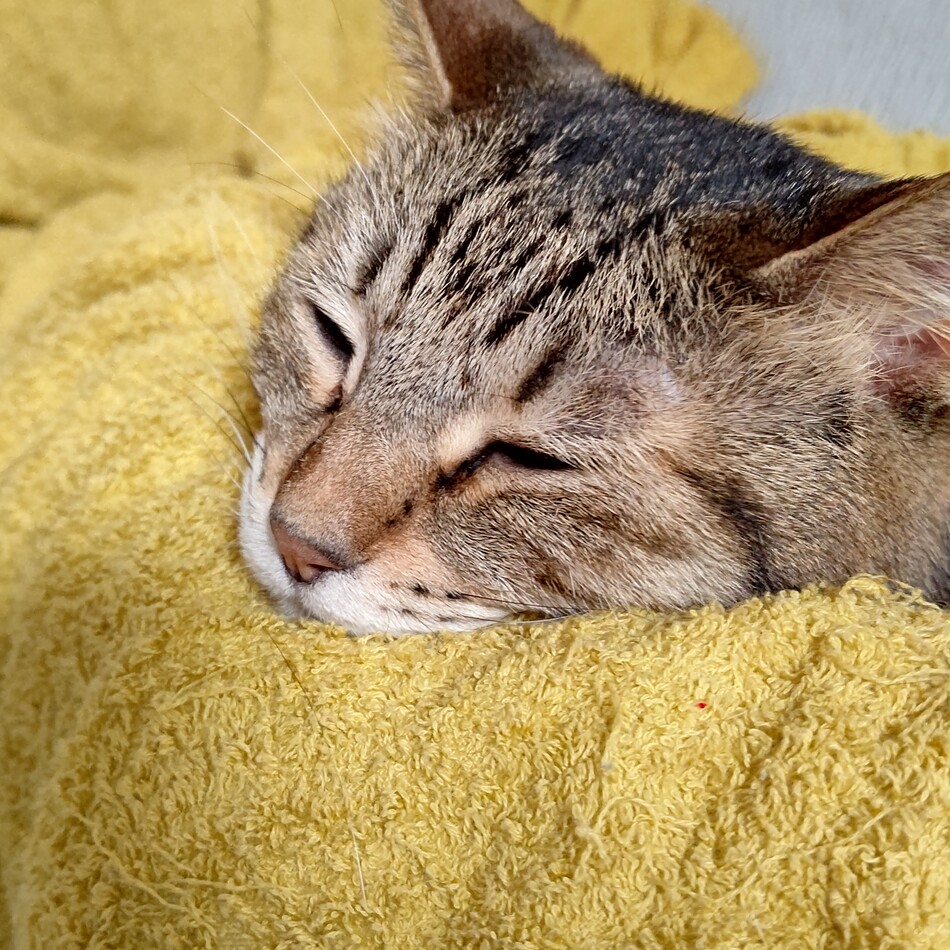 あいなのカバー写真