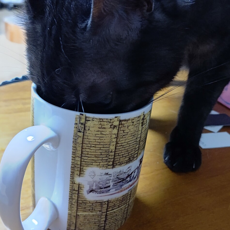 のりすのカバー写真