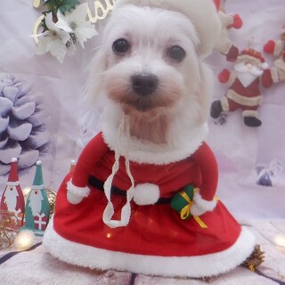 可愛いけど姉御肌な陽詩（ひなた）ちゃん